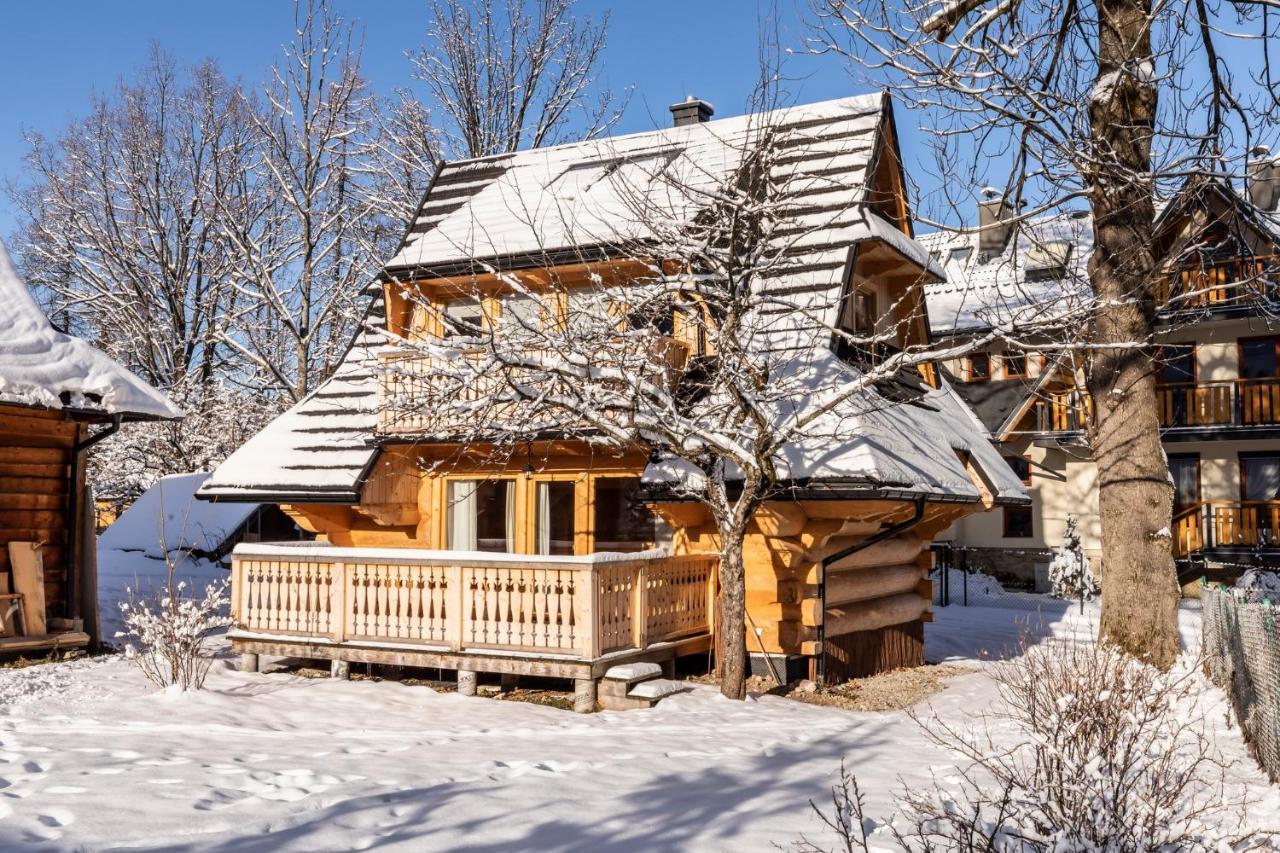 Domek Sekret Zakopane Ngoại thất bức ảnh