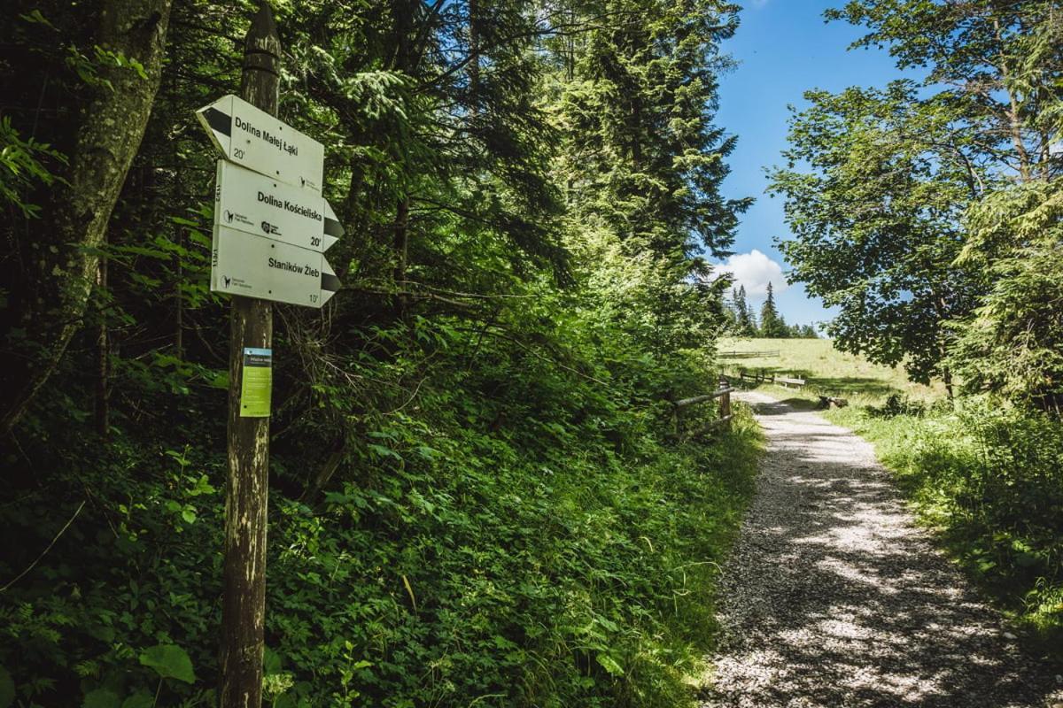 Domek Sekret Zakopane Ngoại thất bức ảnh
